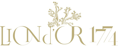 GRAND HÔTEL DU LION D'OR